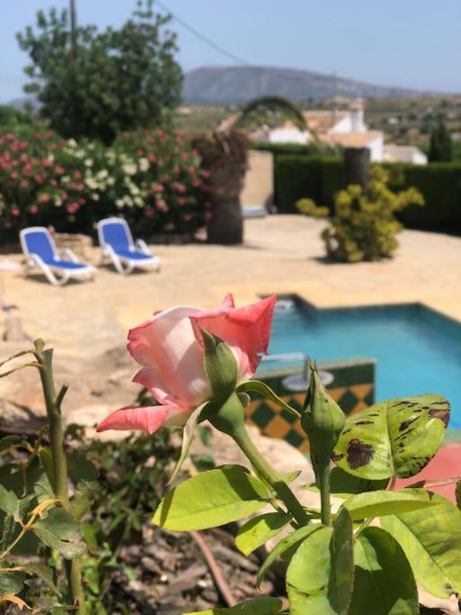 Rustico 'olta' In Finca, See-and Garden Side Holiday home *