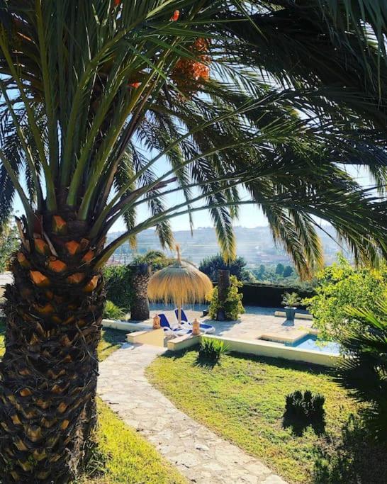Rustico 'olta' In Finca, See-and Garden Side Holiday home *