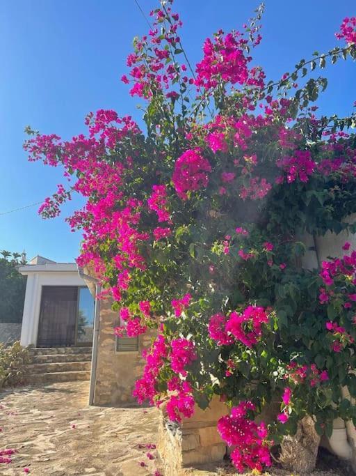 Rustico 'olta' In Finca, See-and Garden Side Teulada