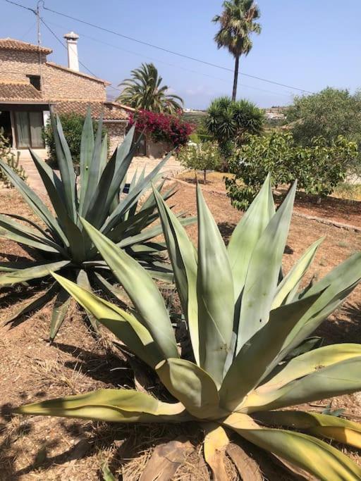 Holiday home Rustico 'olta' In Finca, See-and Garden Side *