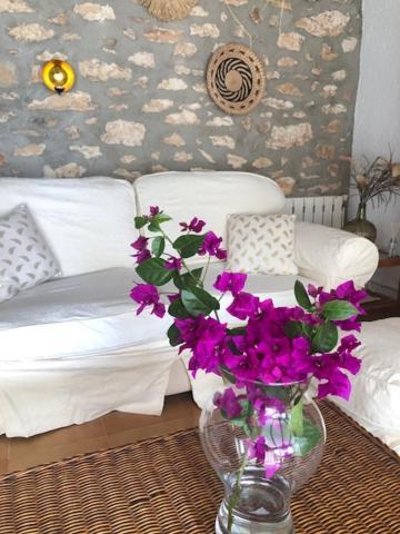 Rustico 'olta' In Finca, See-and Garden Side Holiday home *